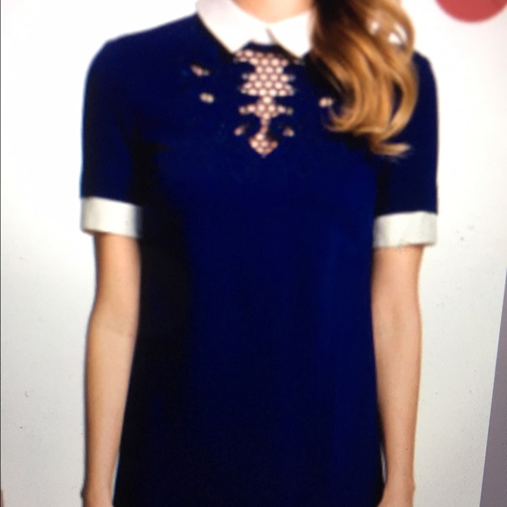 Cynthia Steffe Navy Blue Shift Dress